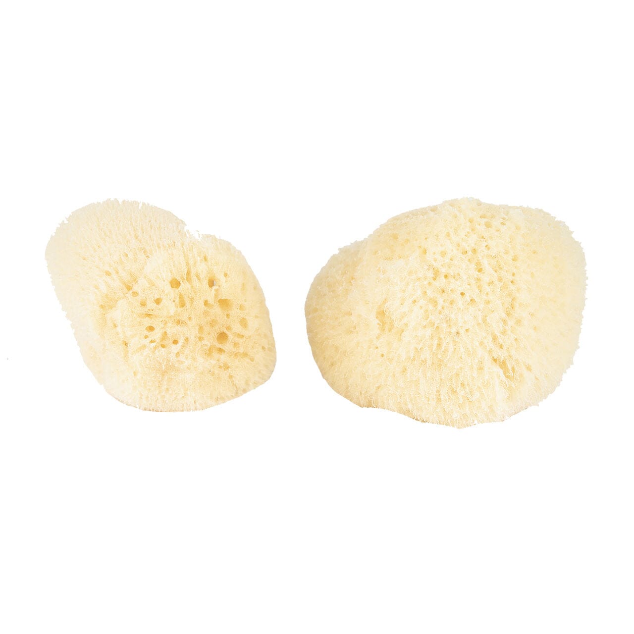 Baudelaire Silk Sponge Set Exfoliating Sponge Baudelaire