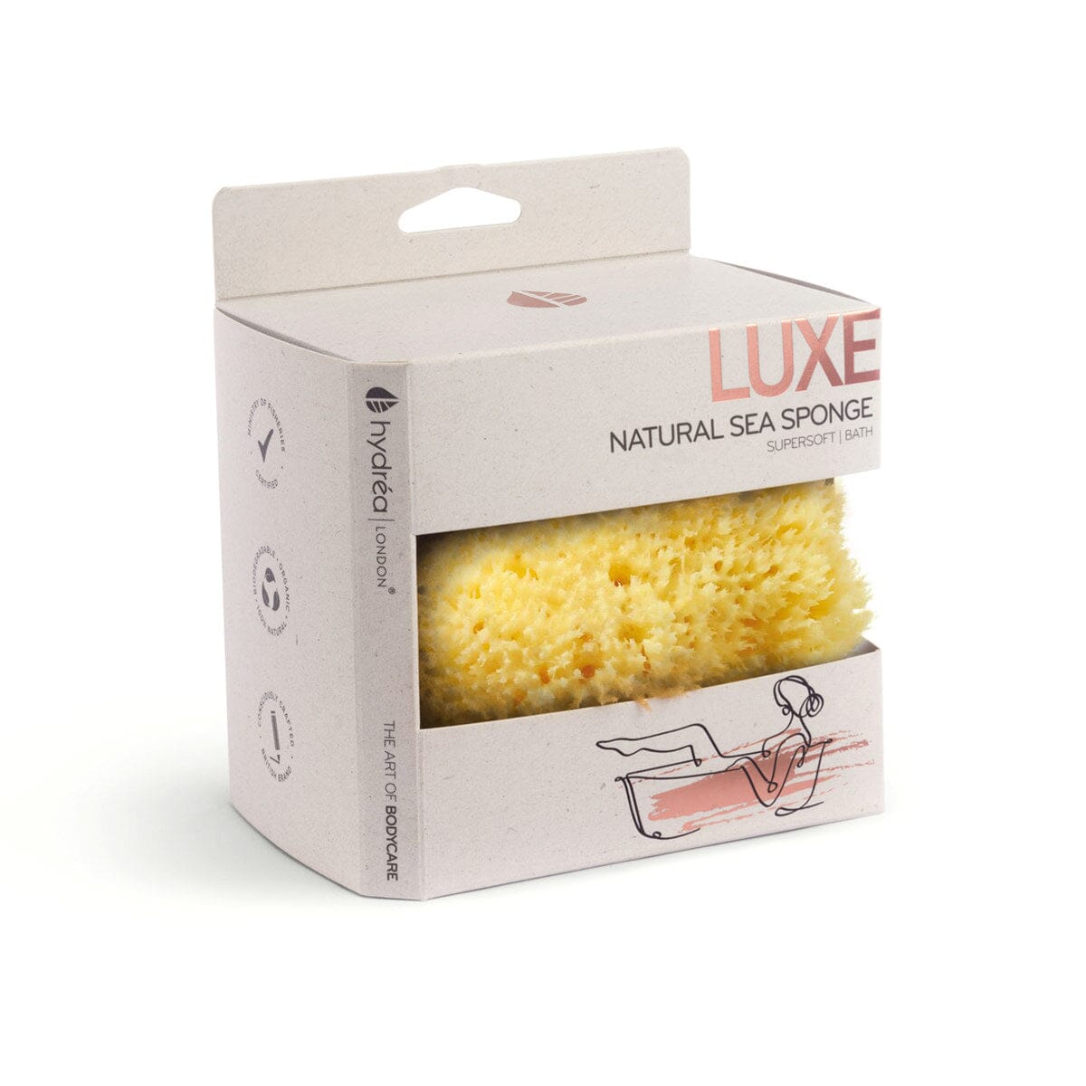 Hydrea London Natural Honeycomb Sea Sponge Sea Sponge The Natural Sea Sponge Co