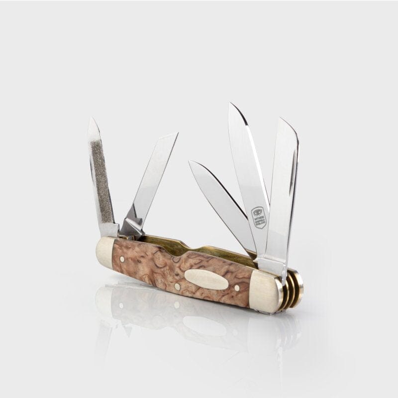 Taylor's Eye Witness Premier Collection Five Blade Pocket Knife Pocket Knife Taylor's Eye Witness Thuya Burl