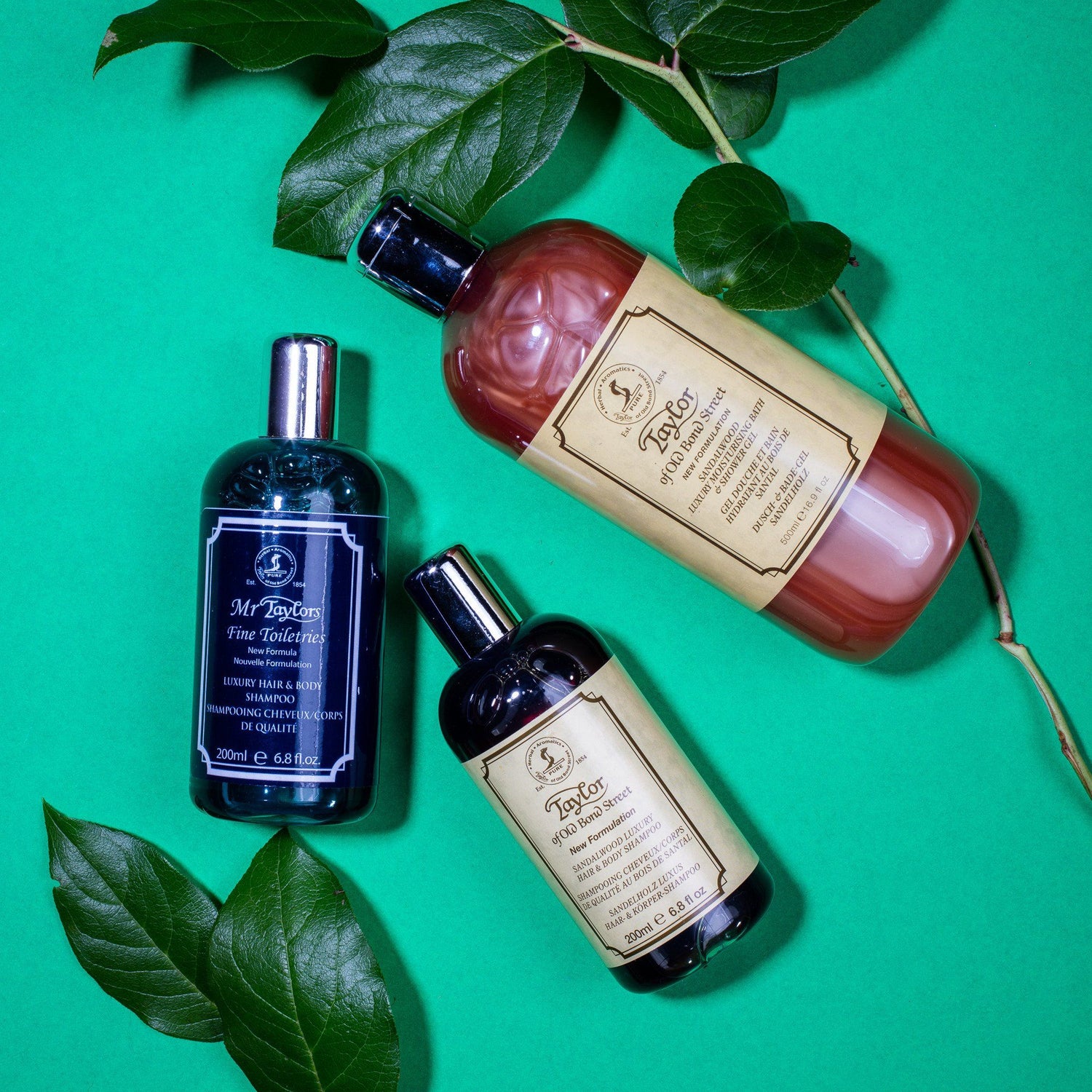 Taylor of Old Bond Street Mr. Taylors Luxury Hair & Body Shampoo Shampoo Taylor of Old Bond Street