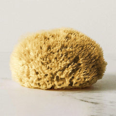 Hydrea London Natural Honeycomb Sea Sponge Sea Sponge The Natural Sea Sponge Co 5.5-6" 