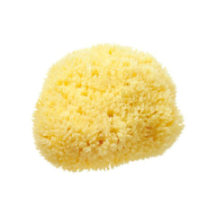 Hydrea London Natural Honeycomb Sea Sponge Sea Sponge The Natural Sea Sponge Co 4.5-5" 