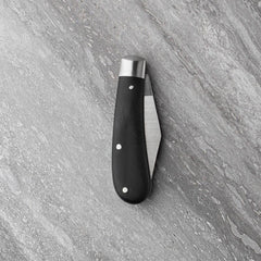 Taylor's Eye Witness Single Blade Farmer's Pocket Knife with Resin Handle Pocket Knife Taylor's Eye Witness 